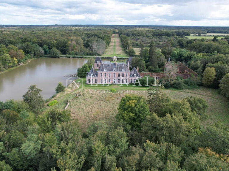 Castle Saint-Viâtre - 17 bedrooms - 800m²