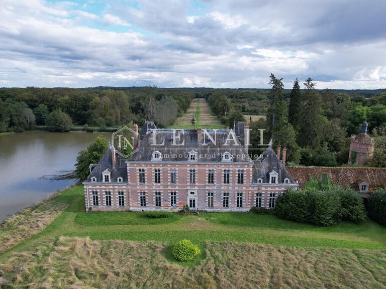 Castle Saint-Viâtre - 17 bedrooms - 800m²