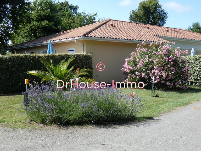 Villa Sainte-Eulalie-en-Born - 14 bedrooms - 330m²