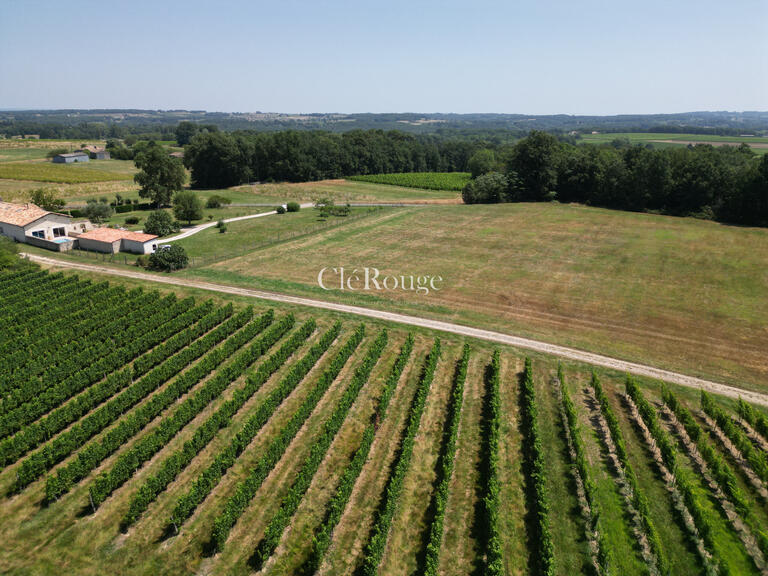 Maison Sainte-Foy-la-Grande - 9 chambres - 375m²