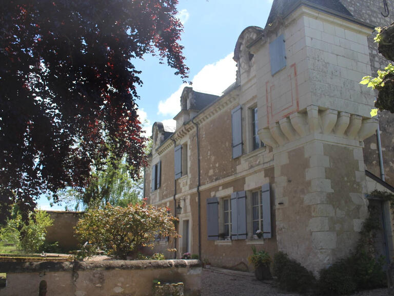 Manor Sainte-Maure-de-Touraine - 4 bedrooms - 395m²