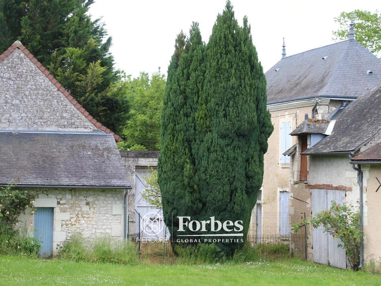 Manoir Sainte-Maure-de-Touraine - 4 chambres - 395m²