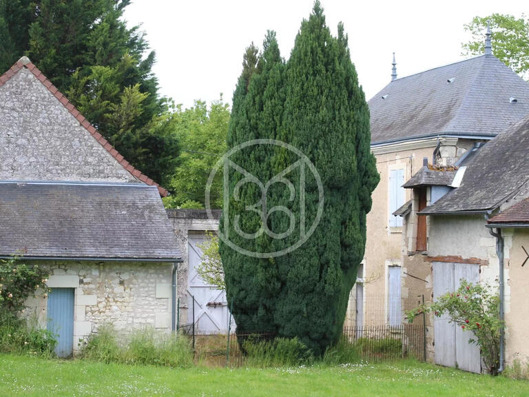 Manor Sainte-Maure-de-Touraine - 4 bedrooms - 395m²