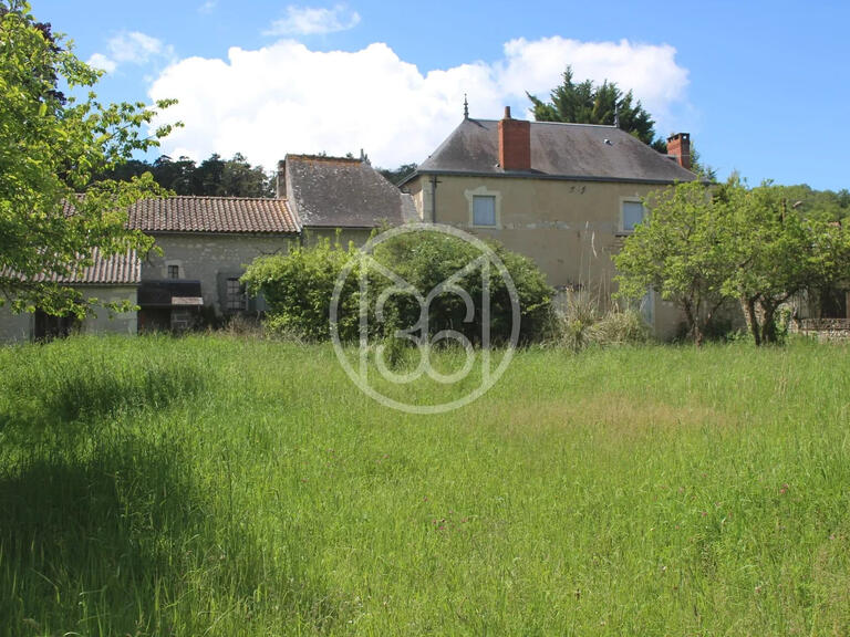 Manor Sainte-Maure-de-Touraine - 4 bedrooms - 395m²