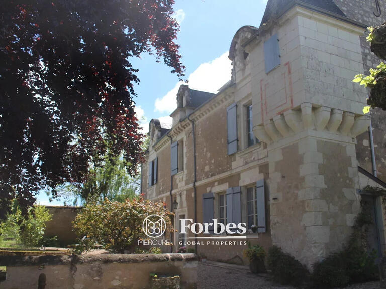 Manoir Sainte-Maure-de-Touraine - 4 chambres - 395m²