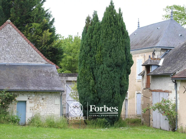 Manoir Sainte-Maure-de-Touraine - 4 chambres - 395m²