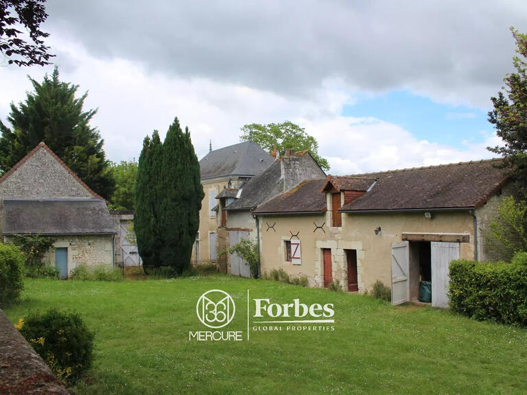 Manoir Sainte-Maure-de-Touraine - 4 chambres - 395m²