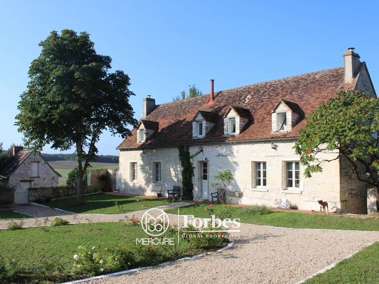 Propriété Sainte-Maure-de-Touraine - 7 chambres - 420m²