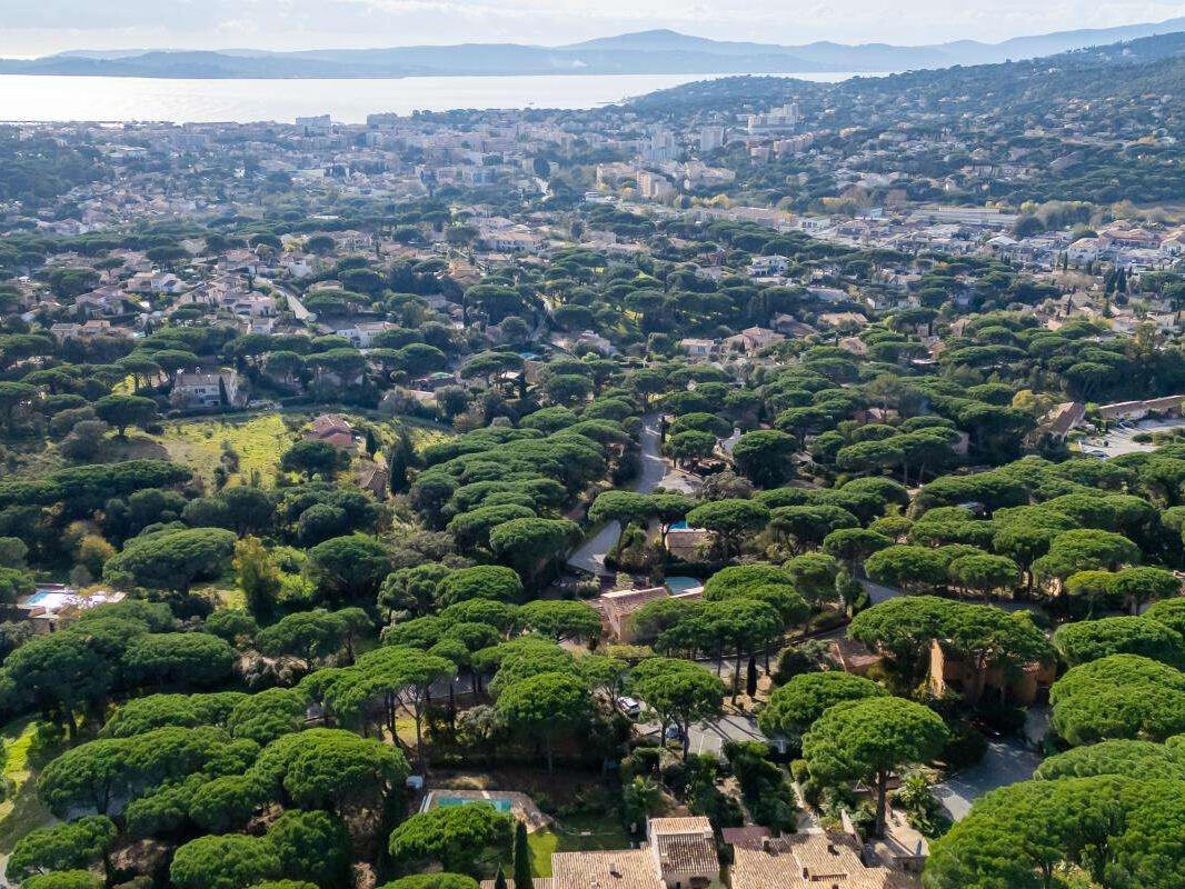 House Sainte-Maxime