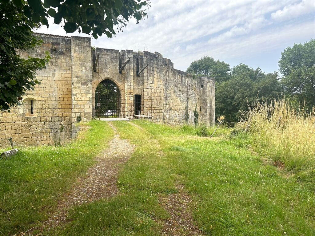 Château Saintes