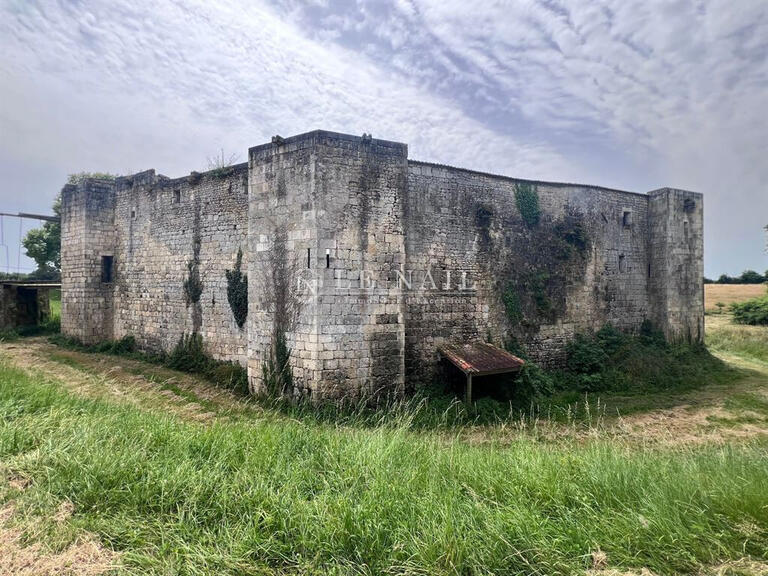 Château Saintes - 6 chambres - 700m²