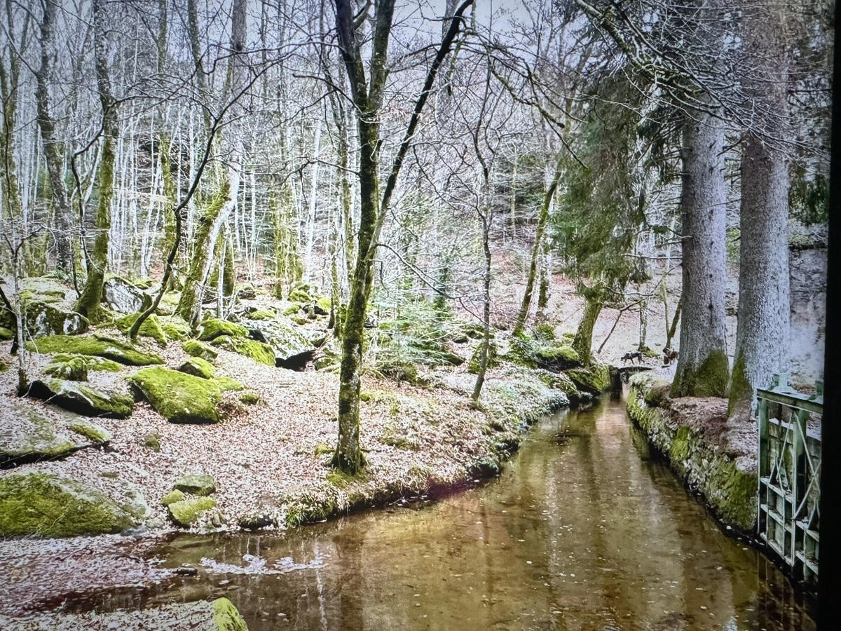 Propriété Saissac