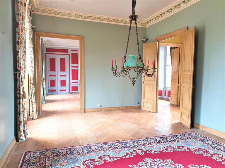 Castle Salbris - 10 bedrooms - 1135m²