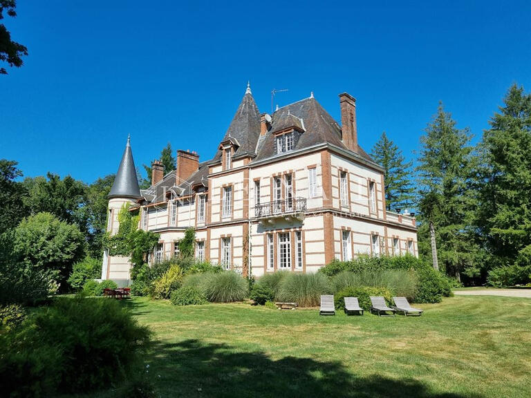 Castle Salbris - 9 bedrooms - 700m²