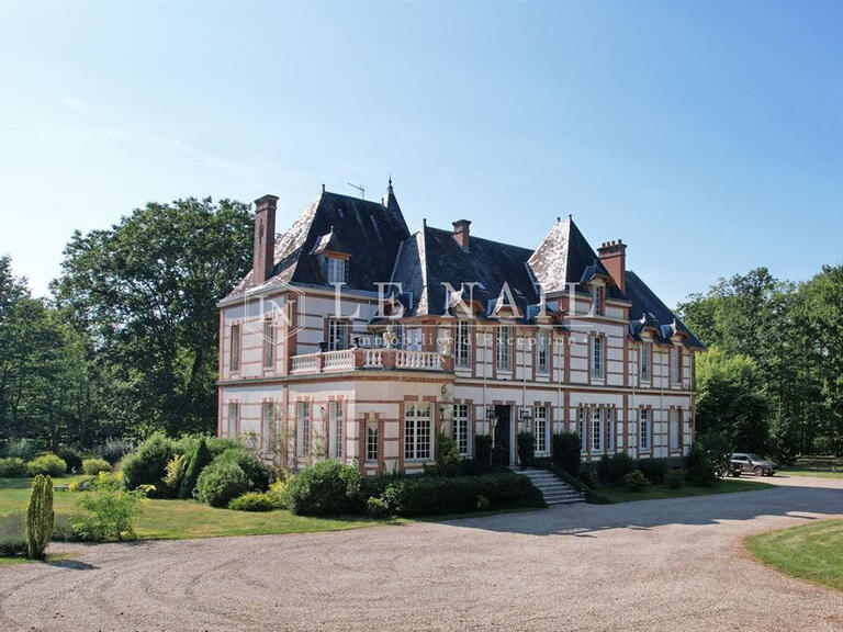 Castle Salbris - 9 bedrooms - 700m²