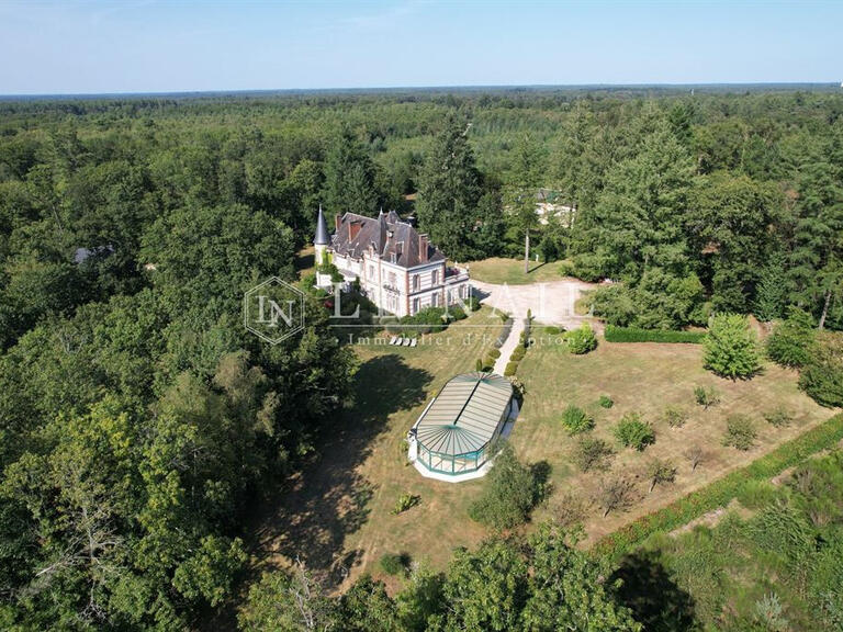 Castle Salbris - 9 bedrooms - 700m²