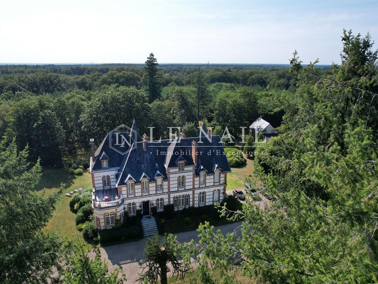 Castle Salbris - 9 bedrooms - 700m²