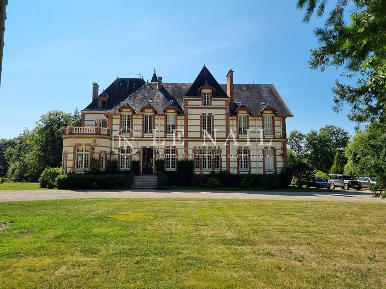 Castle Salbris - 9 bedrooms - 700m²