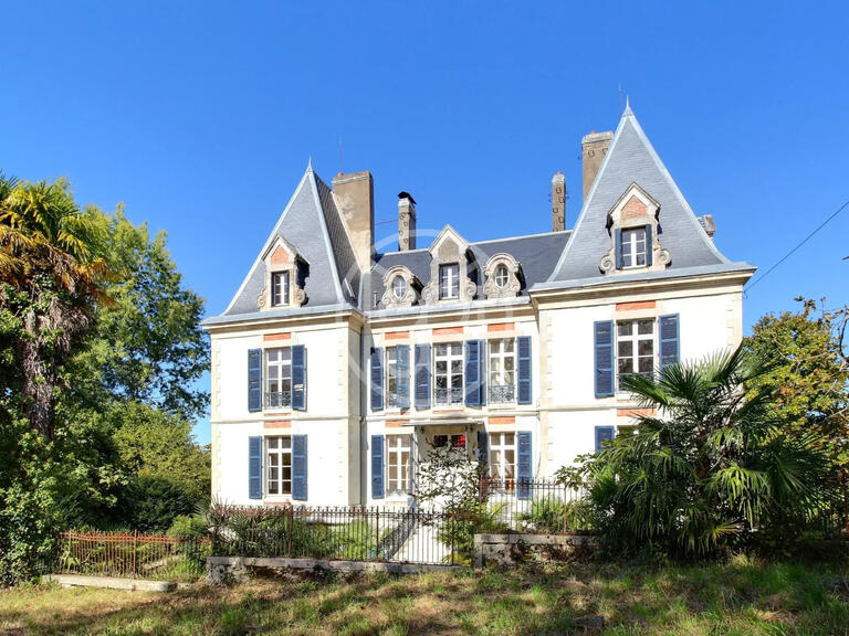 Château Salies-de-Béarn - 8 chambres - 520m²