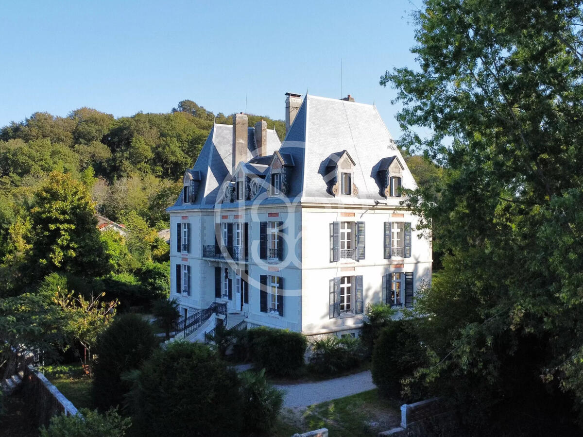 Castle Salies-de-Béarn