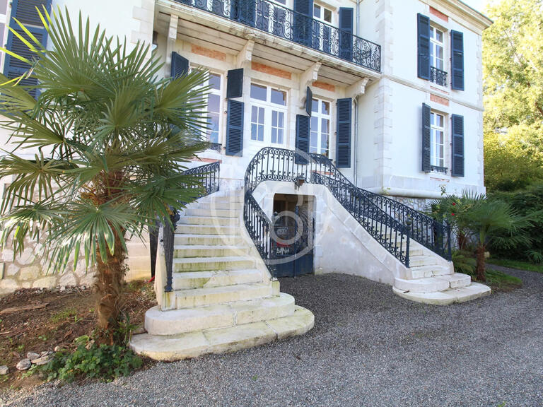 Château Salies-de-Béarn - 8 chambres - 520m²