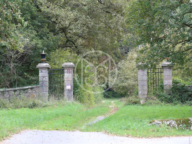 Vente Château Salies-de-Béarn - 8 chambres