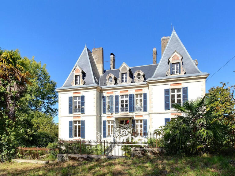 Castle Salies-de-Béarn - 8 bedrooms - 520m²