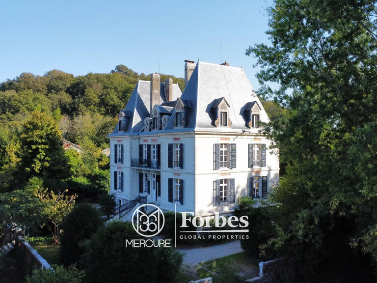 Château Salies-de-Béarn - 8 chambres - 520m²