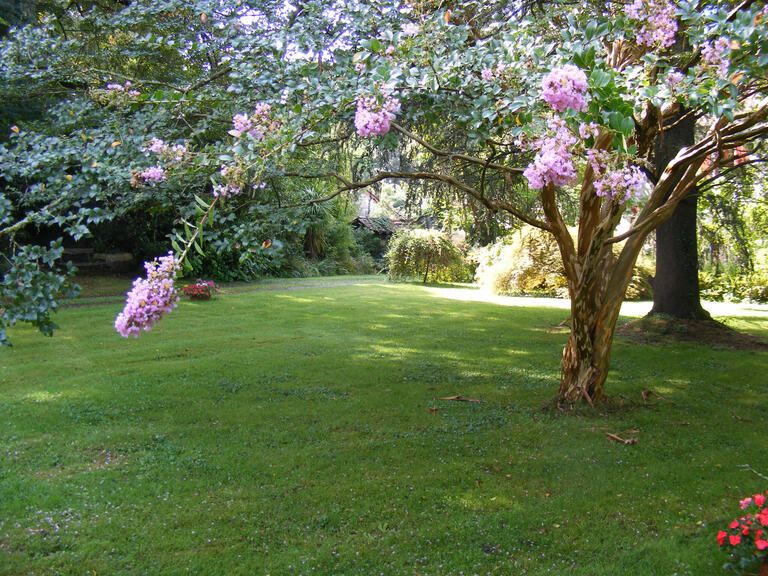 Vente Maison Salies-de-Béarn - 10 chambres