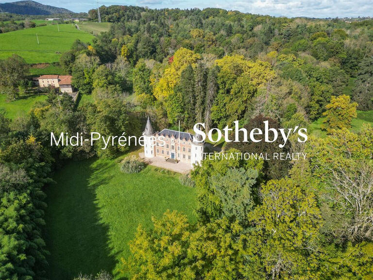 Castle Salies-du-Salat - 11 bedrooms - 515m²