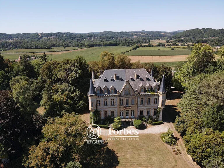 Château Salies-du-Salat - 13 chambres - 800m²