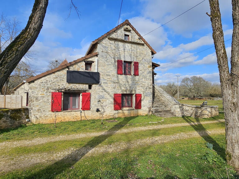 Maison Salvagnac-Cajarc - 6 chambres - 250m²