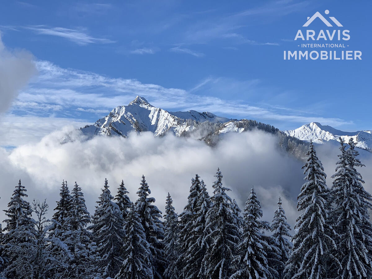 Maison Samoëns