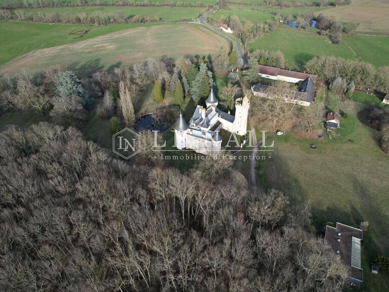 Sale Castle Sancoins - 10 bedrooms