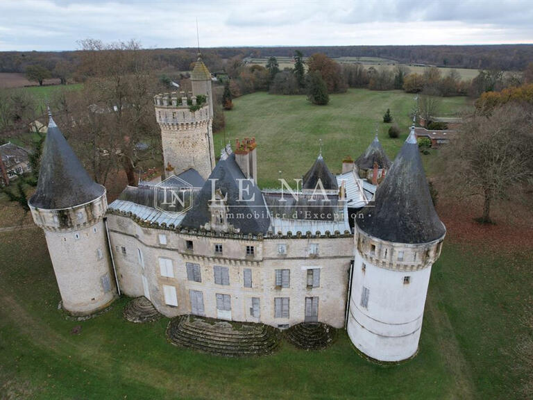 Sale Castle Sancoins - 10 bedrooms