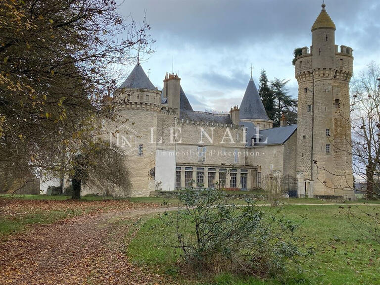 Sale Castle Sancoins - 10 bedrooms