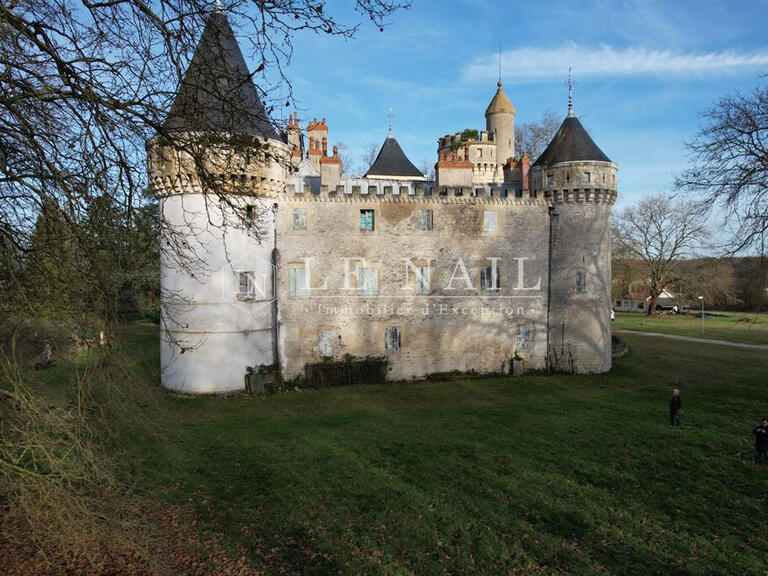 Sale Castle Sancoins - 10 bedrooms