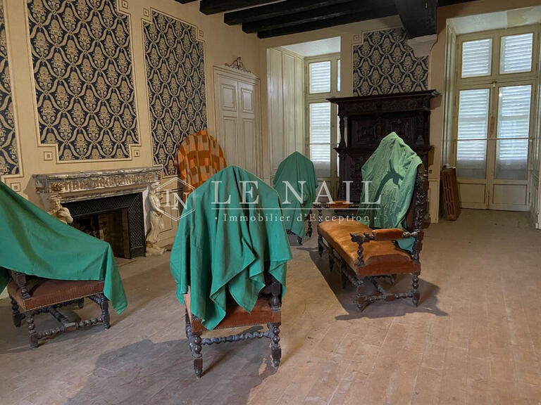 Sale Castle Sancoins - 10 bedrooms