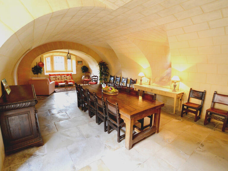 Castle Sarlat-la-Canéda - 5 bedrooms - 350m²