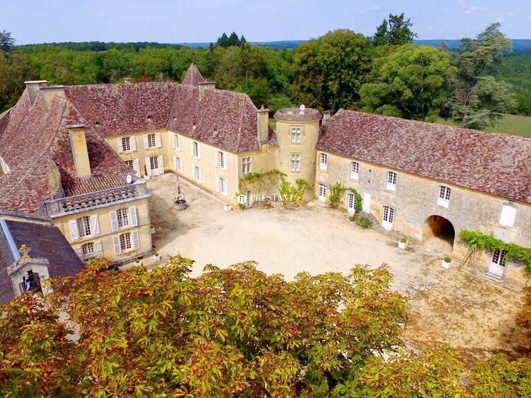 Castle Sarlat-la-Canéda - 5 bedrooms - 350m²