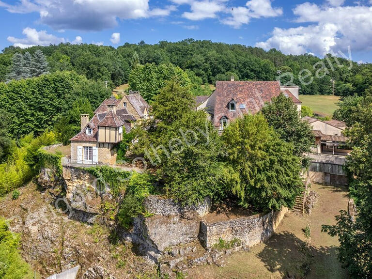 House Sarlat-la-Canéda - 42 bedrooms - 1745m²