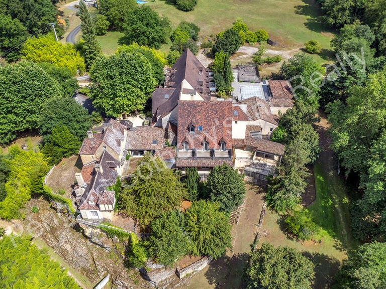 House Sarlat-la-Canéda - 42 bedrooms - 1745m²