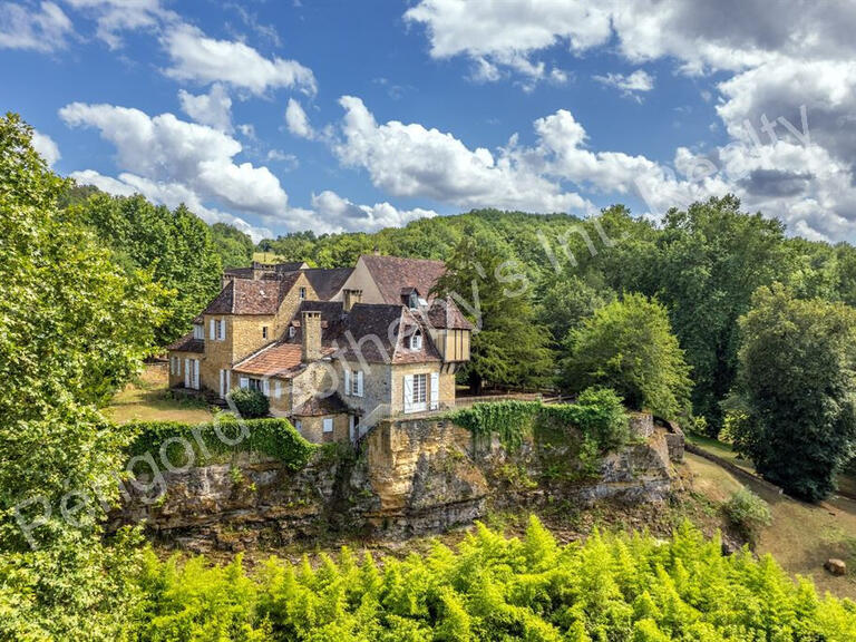 House Sarlat-la-Canéda - 42 bedrooms - 1745m²