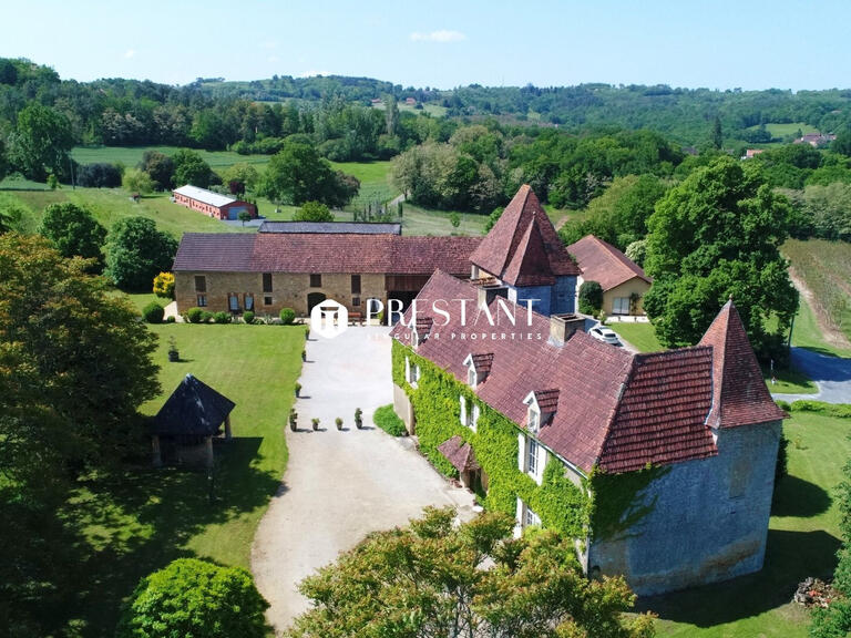 House Sarlat-la-Canéda - 10 bedrooms - 540m²