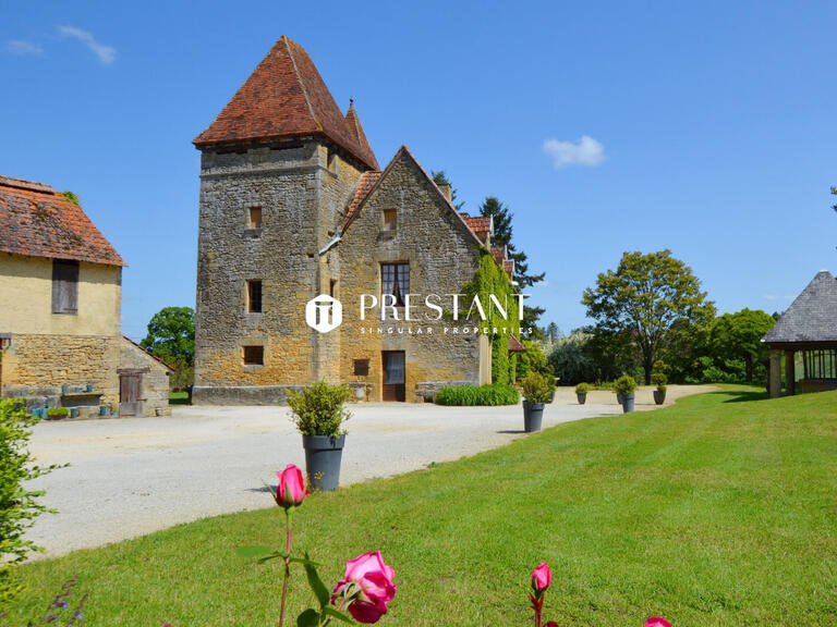 House Sarlat-la-Canéda - 10 bedrooms - 540m²