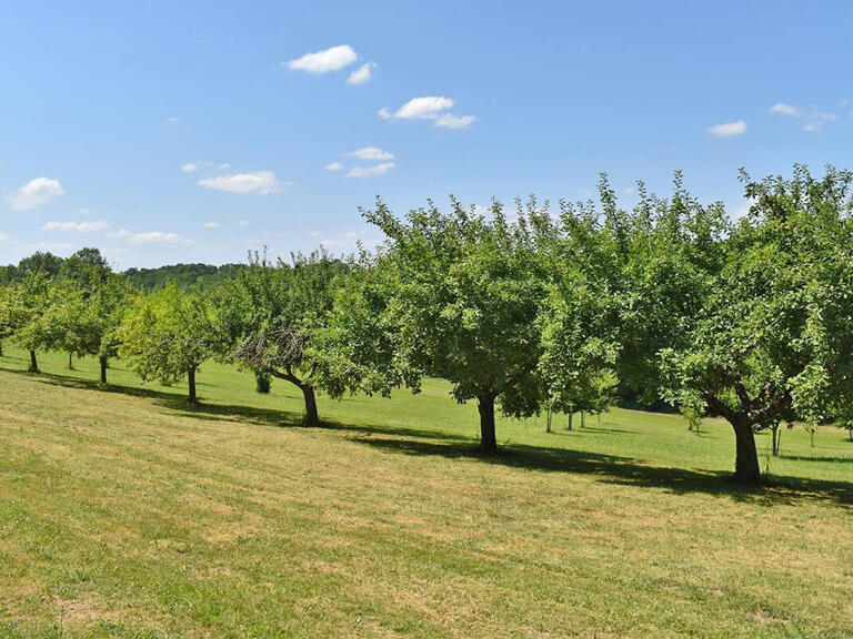 House Sarlat-la-Canéda - 4 bedrooms