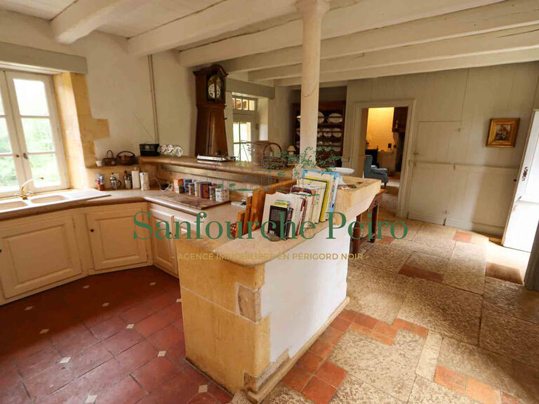 House Sarlat-la-Canéda - 4 bedrooms - 197m²