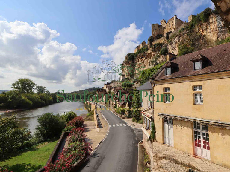 House Sarlat-la-Canéda - 993m²