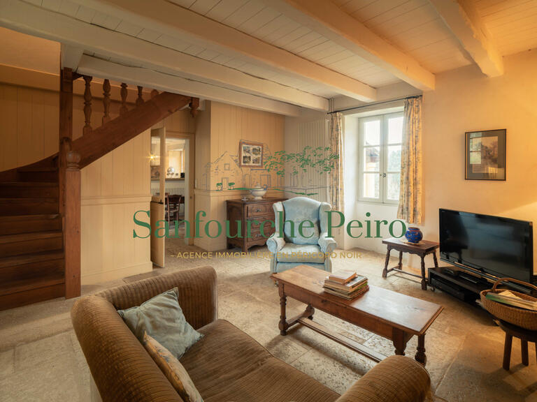 House Sarlat-la-Canéda - 4 bedrooms - 197m²