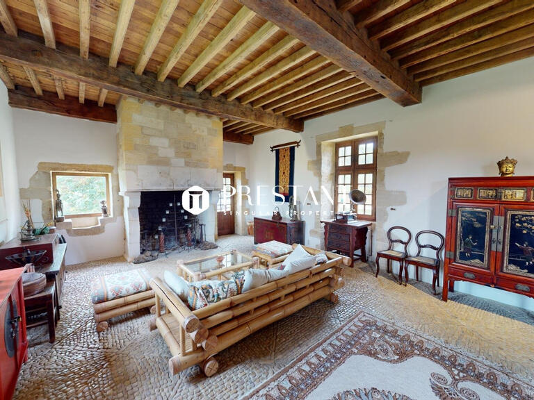 Manor Sarlat-la-Canéda - 7 bedrooms - 520m²